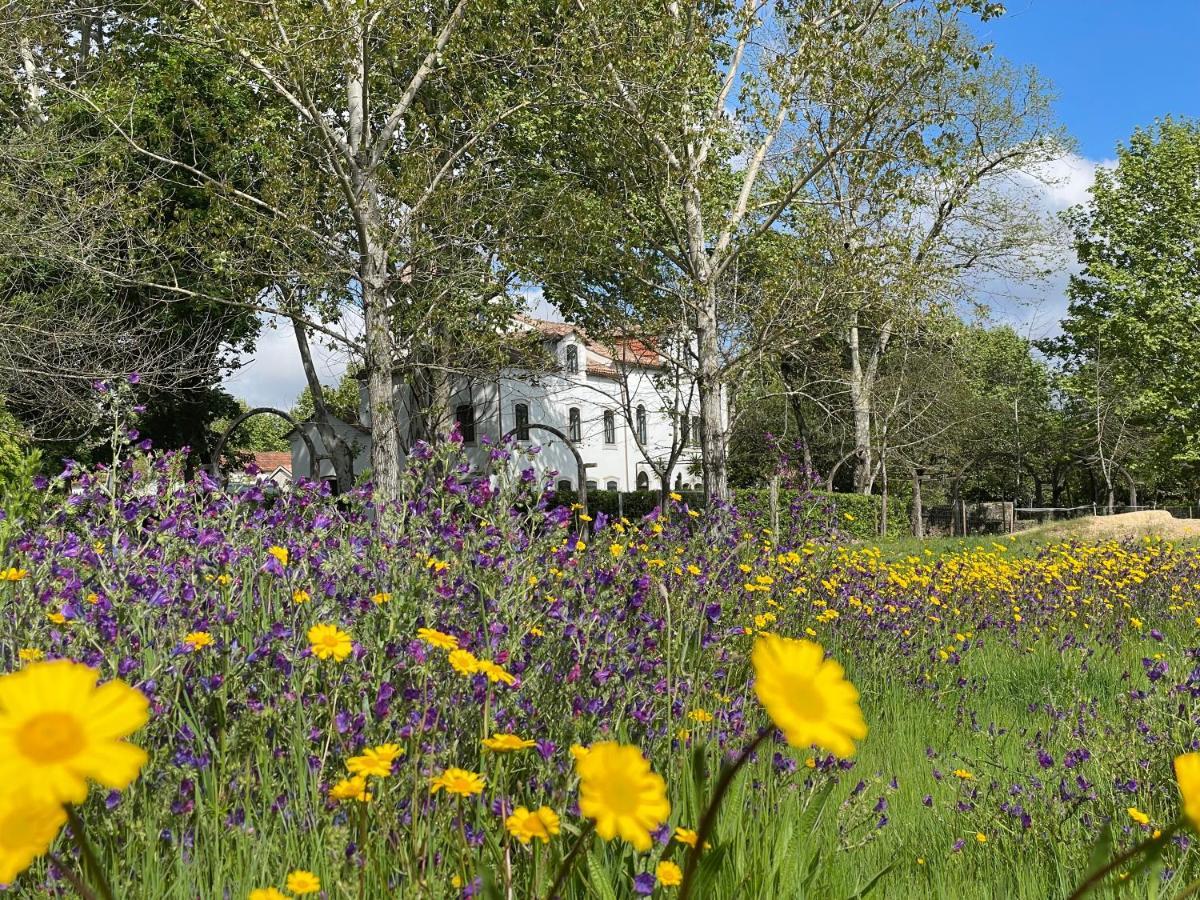 Quinta Do Areal Apartment Lousa  Bagian luar foto